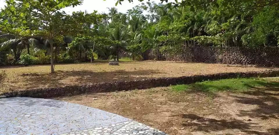 CAMOTES ISLAND BEACH LOT - photo 4
