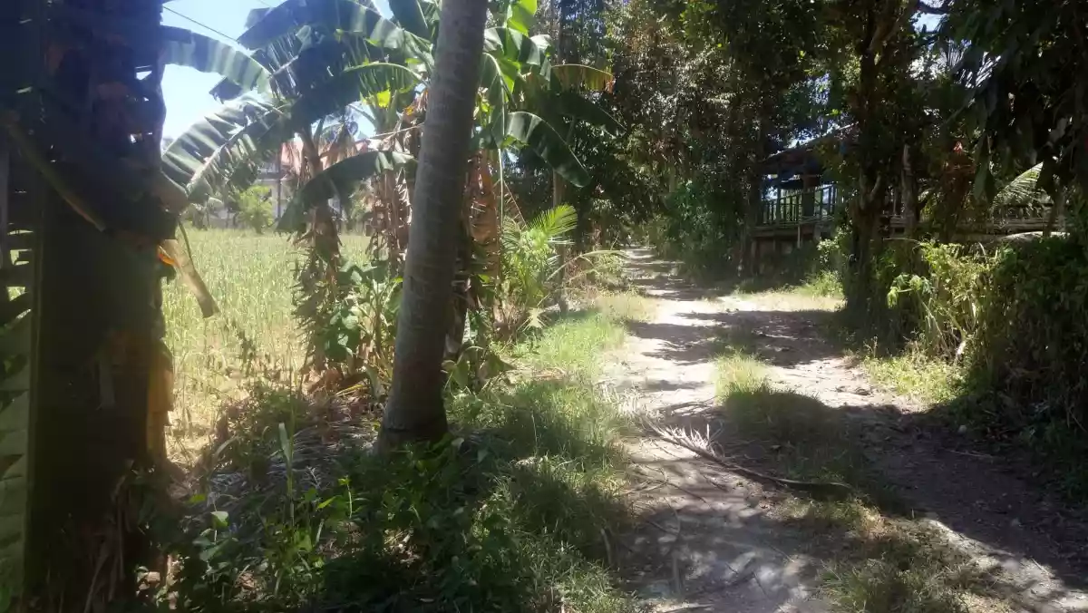 Lot For Sale in Danao, cebu - photo 4