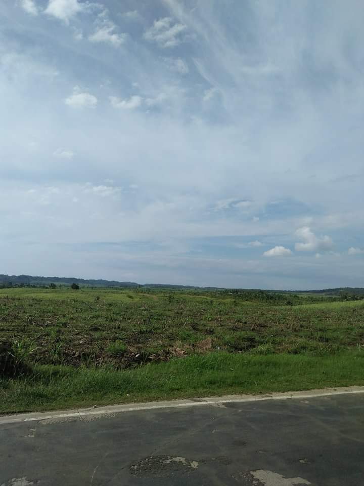 Affordable lot for sale - photo 4
