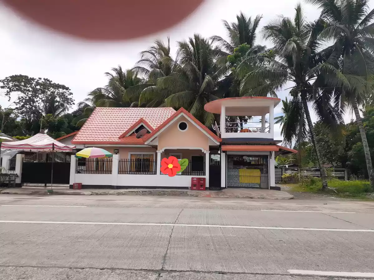 House and Lot for sale in Bato, Leyte - photo 2