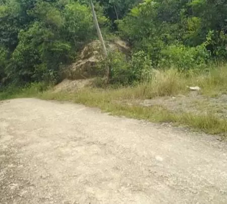 Agricultural land - photo 2