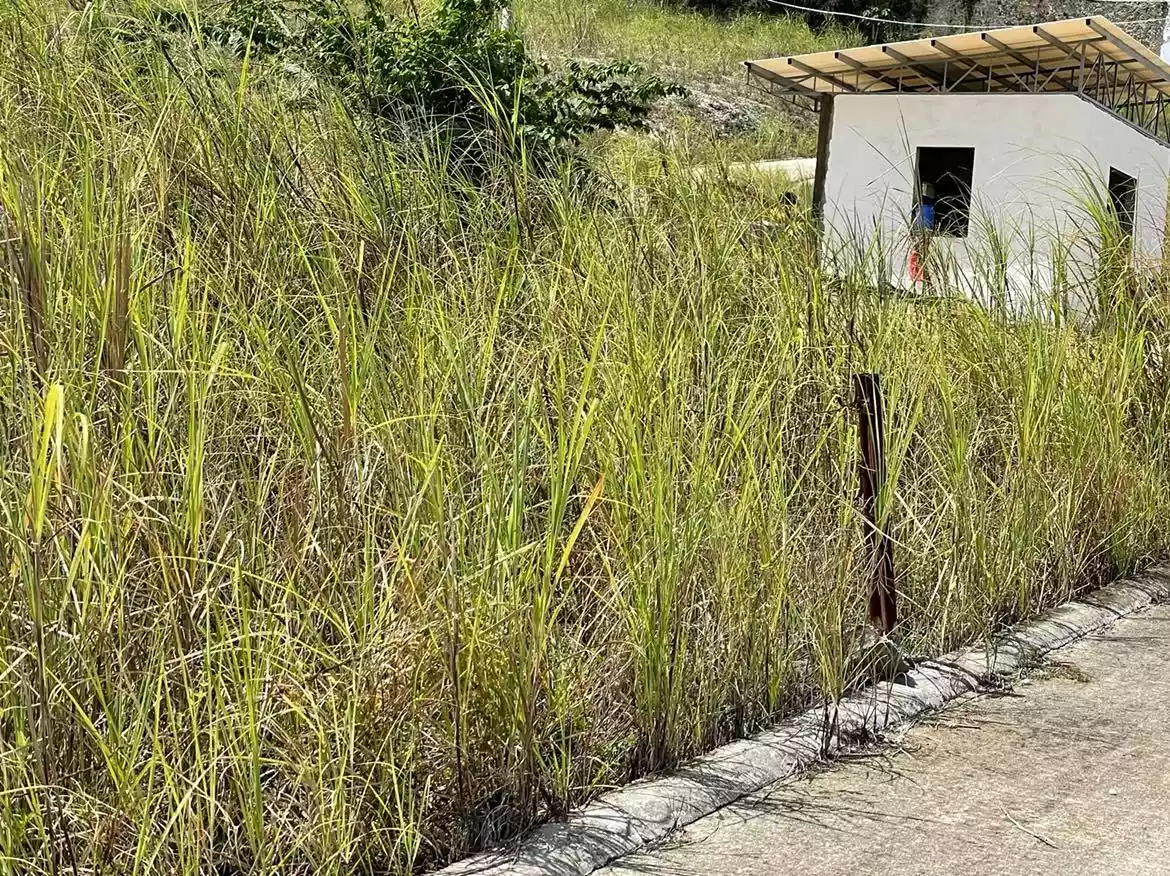 LOT FOR SALE - El Monte Grande Heights at San Vicente, Liloan Cebu — Residential Lot in Liloan, Cebu, Philippines — Photo 2