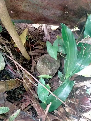 Open photo 12 of 14 — Residential lot for sale