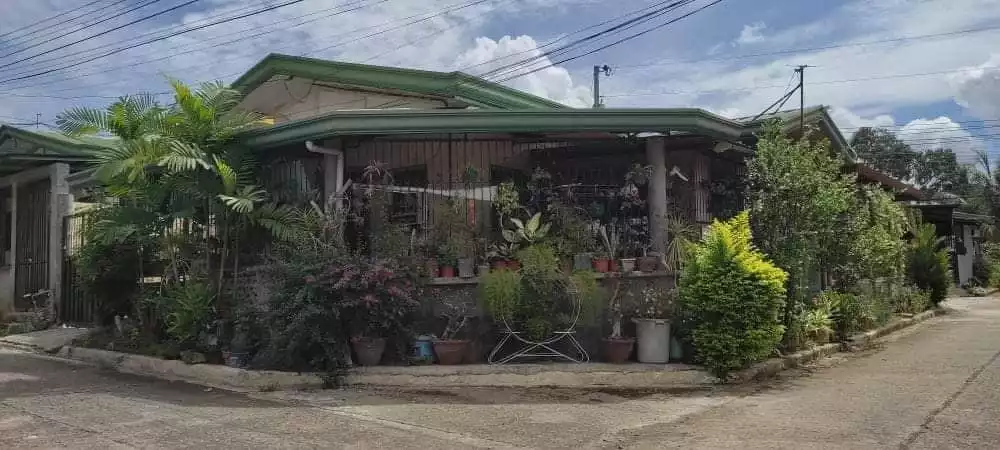 Elenita Heights House and Lot for Sale
