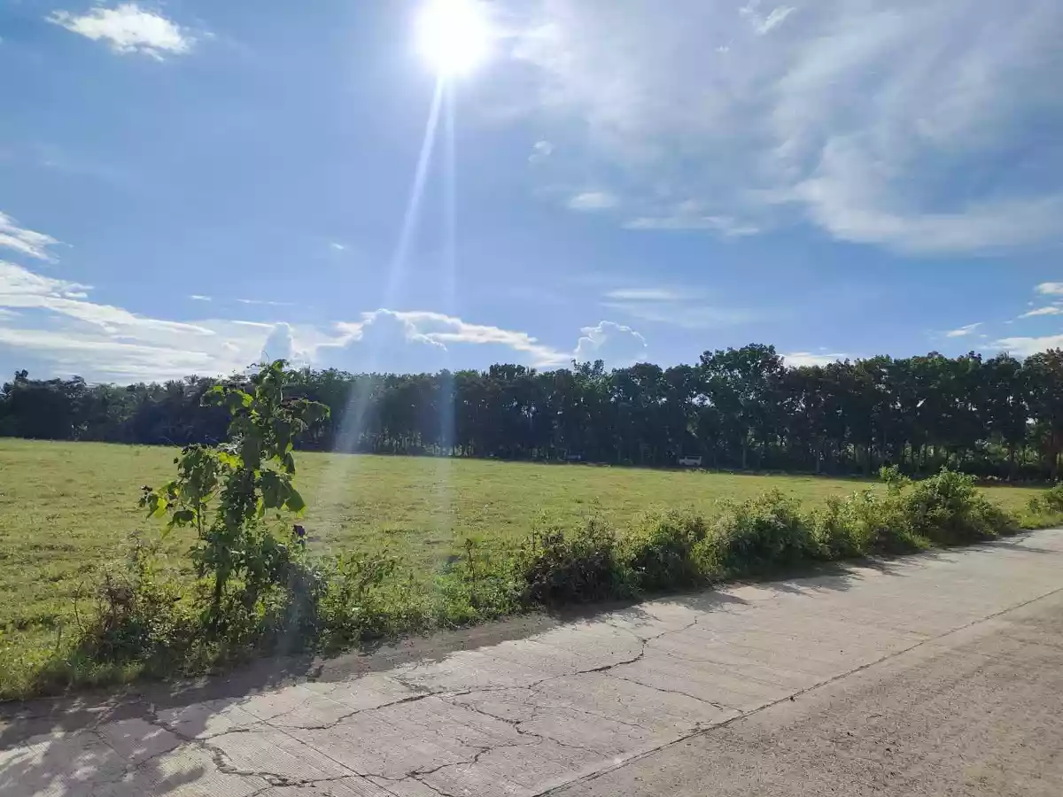 Open photo 12 of 13 — Lot for Sale in Tuburan, Cebu
