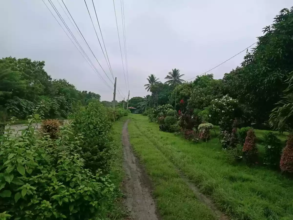 Farm land — Agricultural Lot in South Cotabato, Philippines — Photo 3