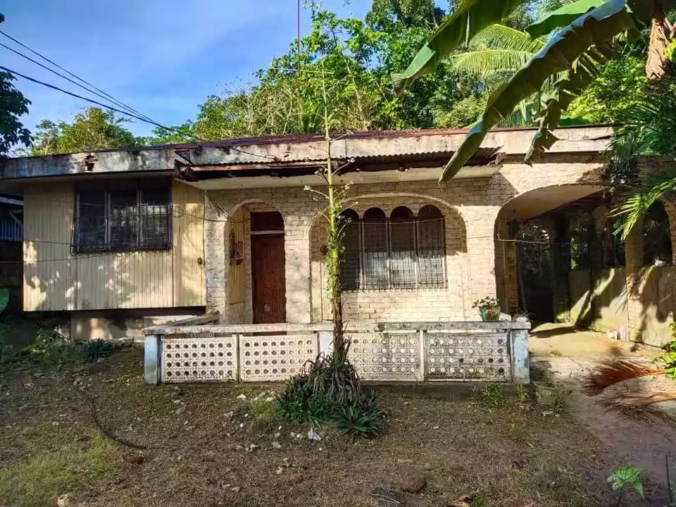 HOUSE & LOT - photo 6