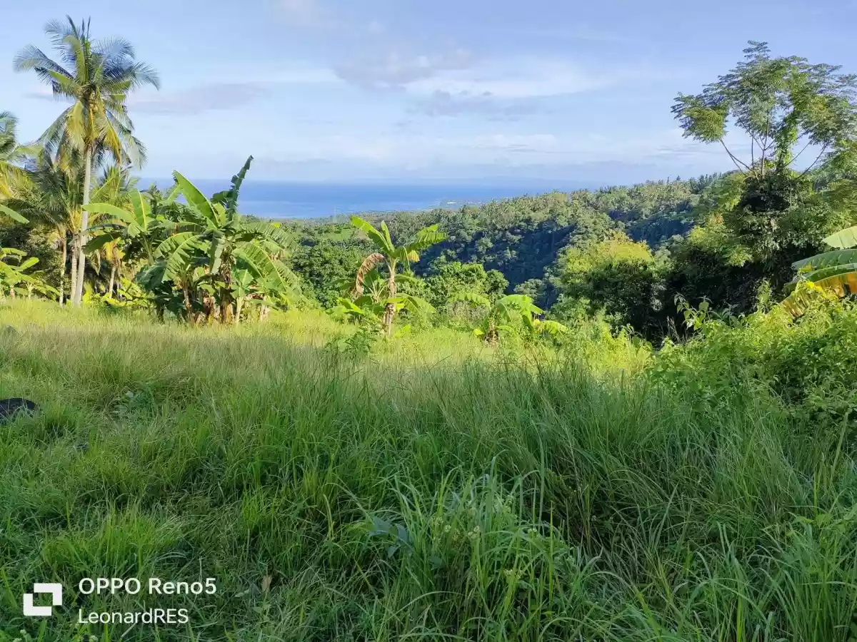 1.4993 Hectares Lot for Sale in Cambaloctot San Jose — Agricultural Lot in Negros Oriental, Philippines — Photo 2