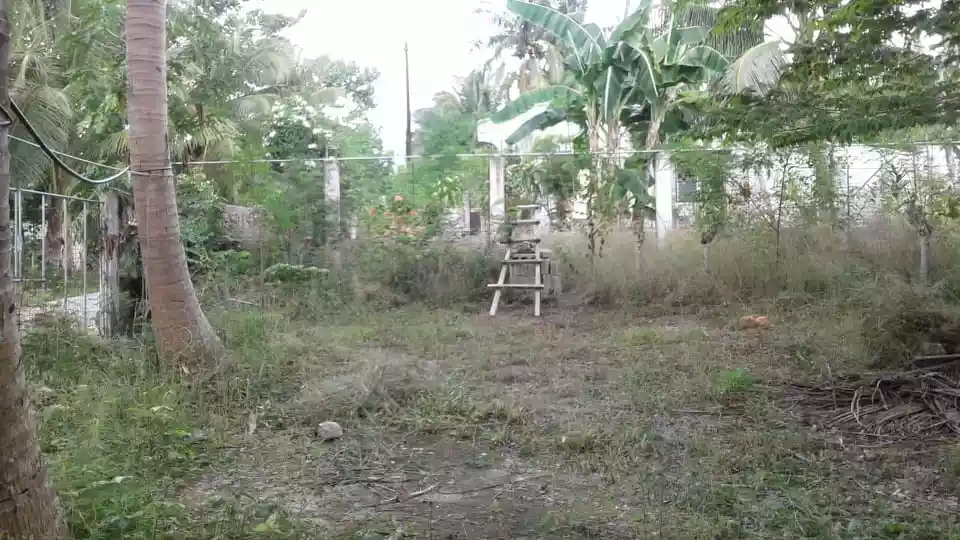 RESIDENTIAL LOT IN SAN FERNANDO, CEBU - photo 3