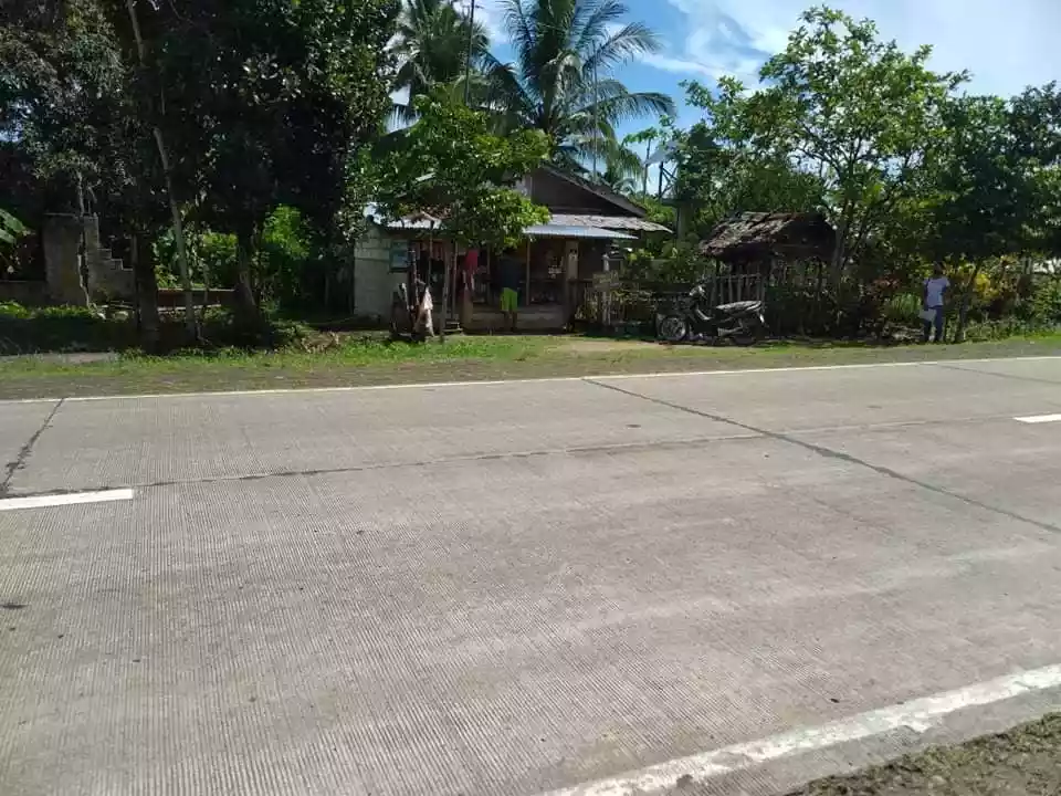 House and lot  sale - photo 5