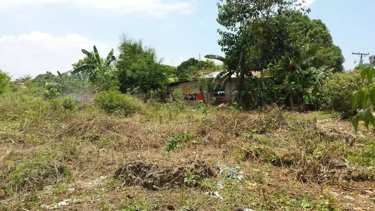 Olango lot for SALE Lapulapu City near Olango Port - photo 3