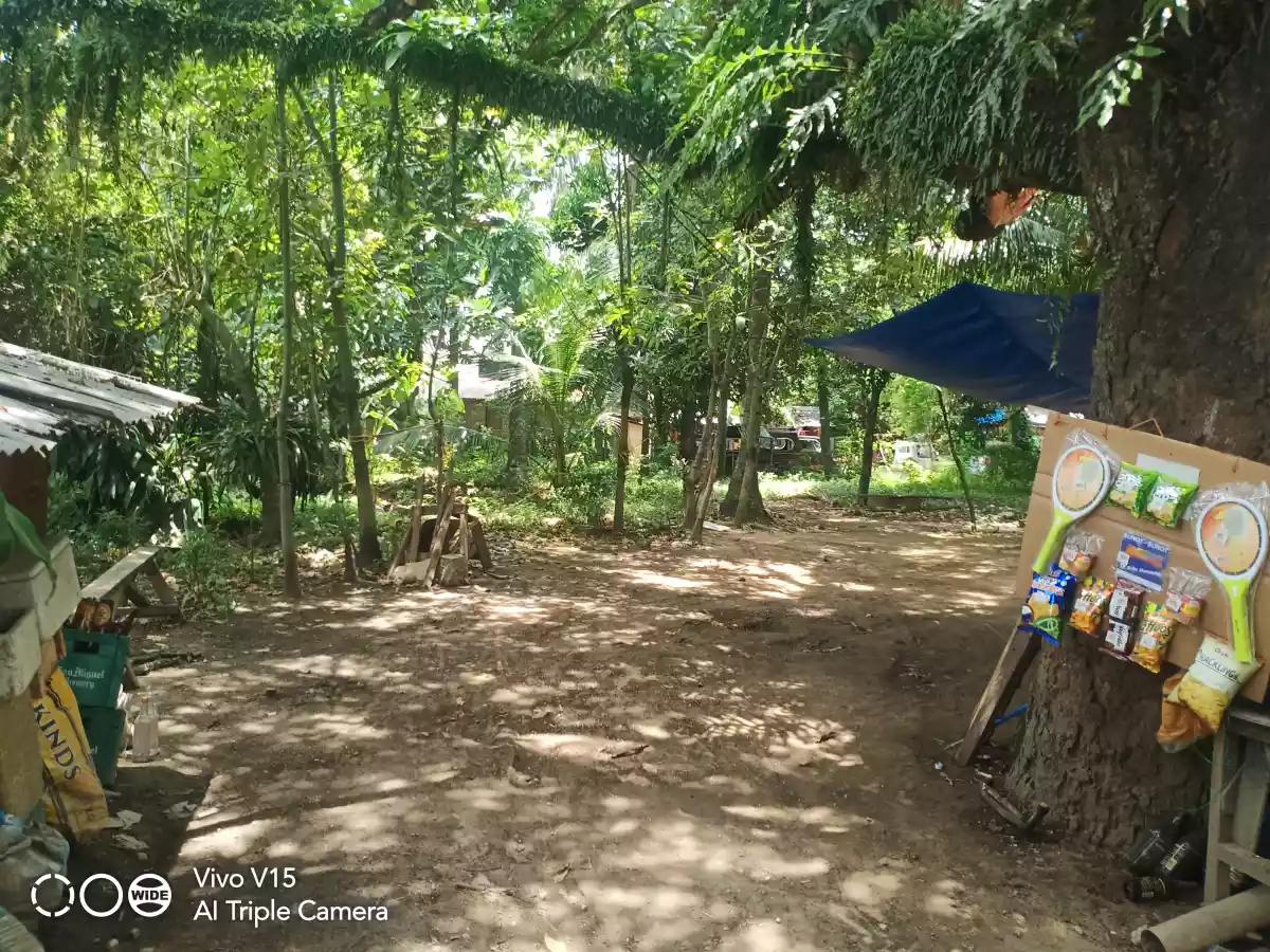 COMMERCIAL/RESIDENTIAL LOT FOR SALE IN SOUTH POBLACION, CITY OF NAGA, CEBU - photo 5