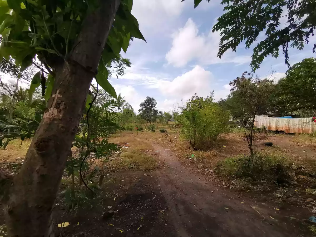 1000sqm and 1500sqm Lot at the Back of TLG Mabuhay  - photo 3