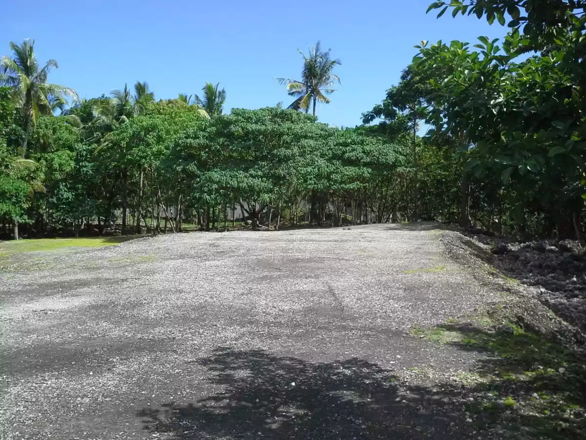 1.9 hectares along Beach  Land,Perfecr Investment Ideal for Dive and Beach Resort in Anda Bohol - photo 4