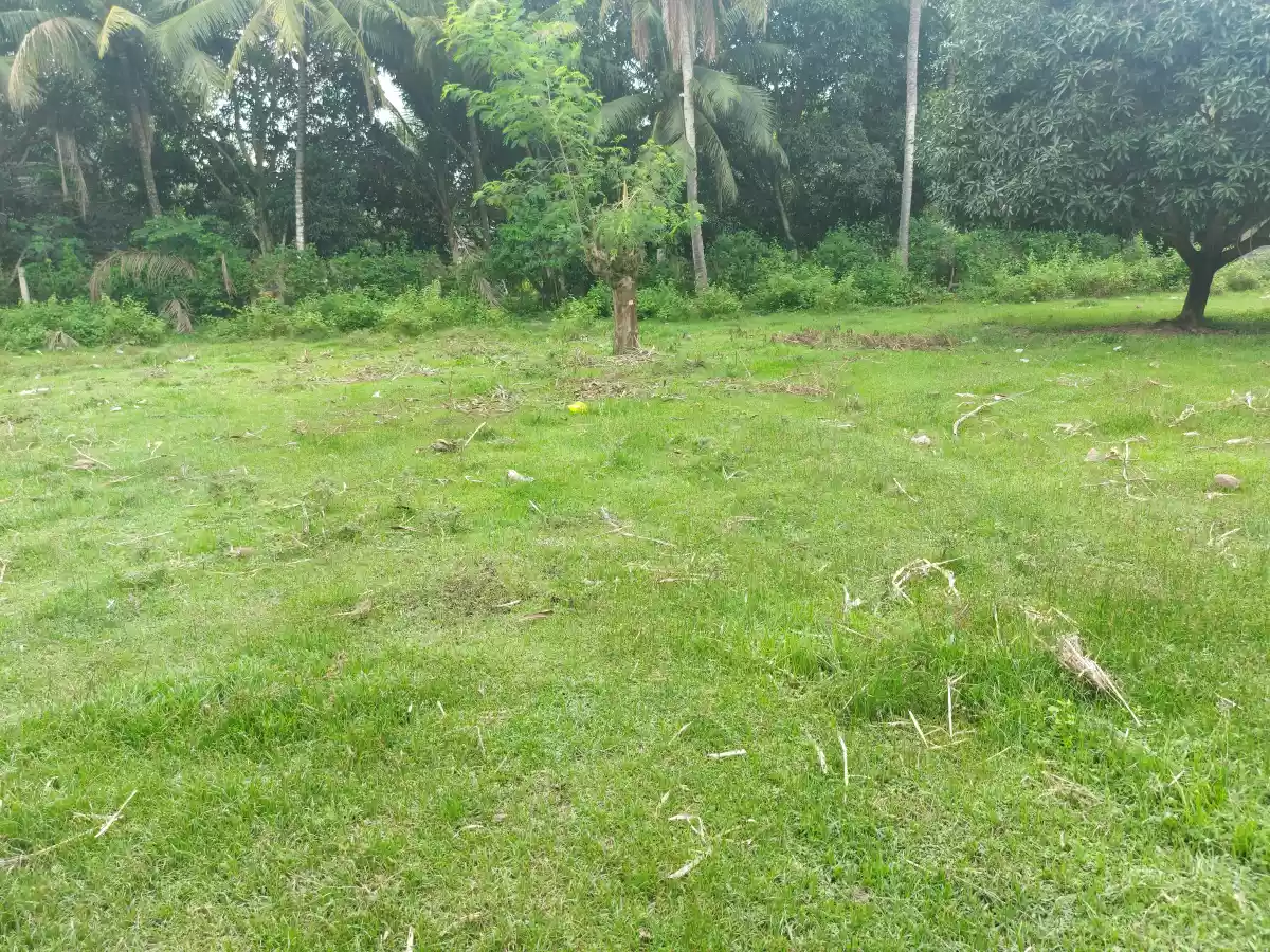 Lot for Sale in Calabnugan Sibulan - photo 4