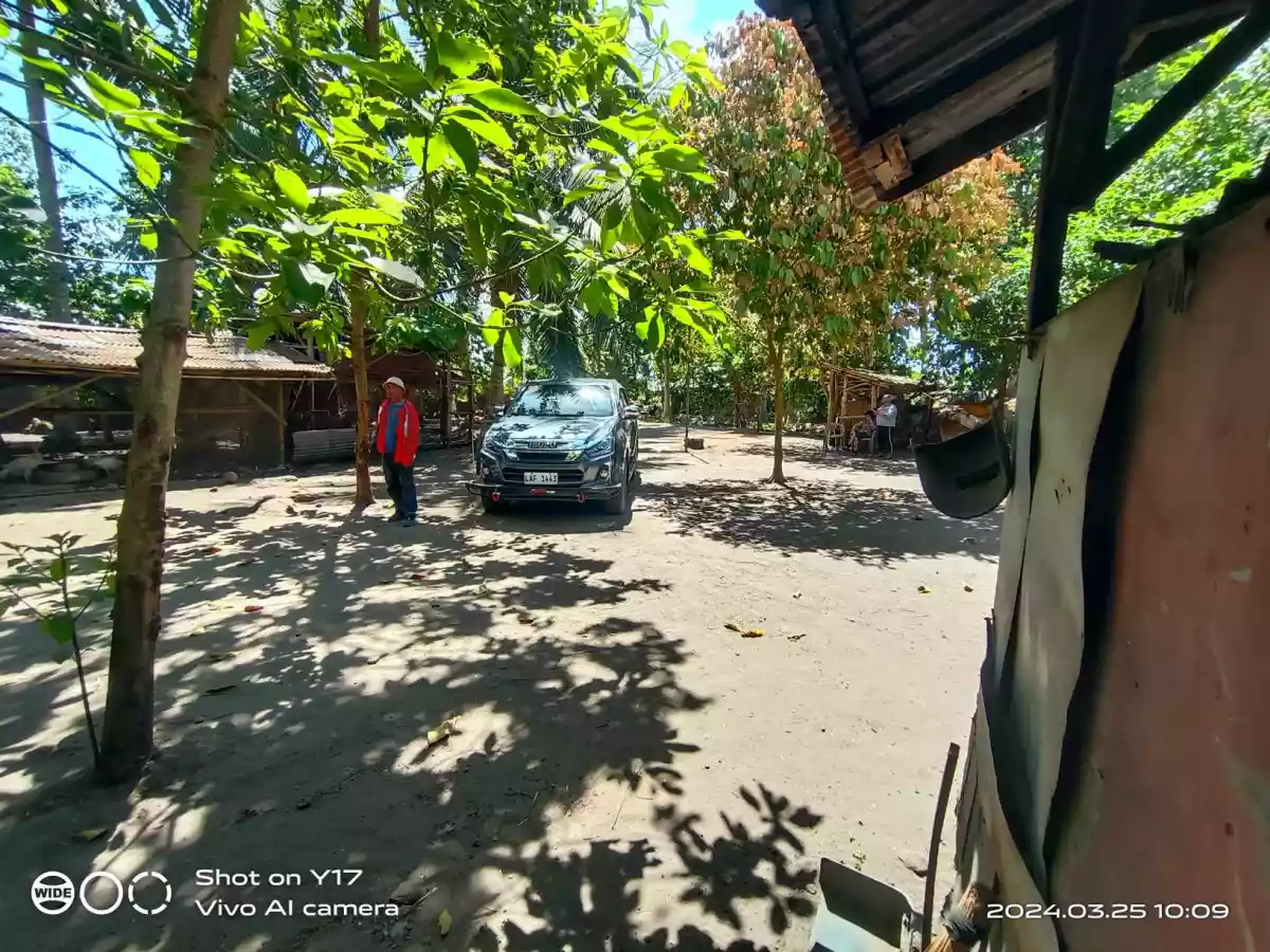 Open photo 18 of 21 — 1 HECTARE FOR SALE IN POLOMOLOK