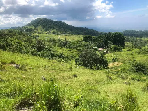 Mountain Top 360? Scenic View Lot — Agricultural Lot in Cebu City, Cebu, Philippines — Photo 5
