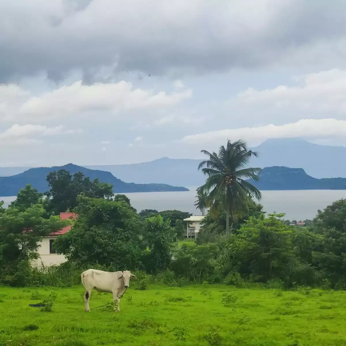 Taal View Heights — Residential Lot in Talisay Batangas, Talisay, Batangas — Photo 6