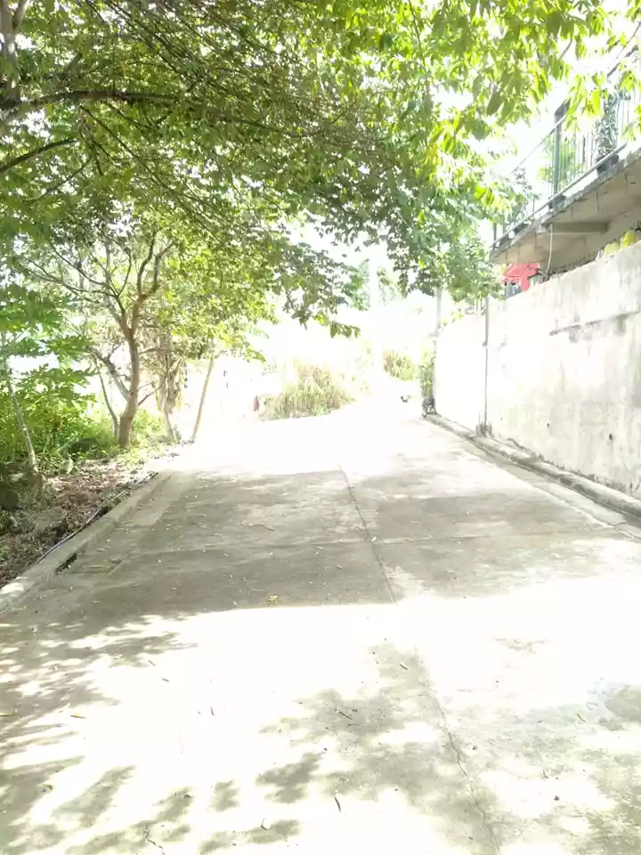 Titled lot for sale in Lilo an - photo 4