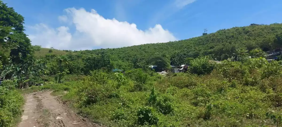 Lot for Sale - photo 4