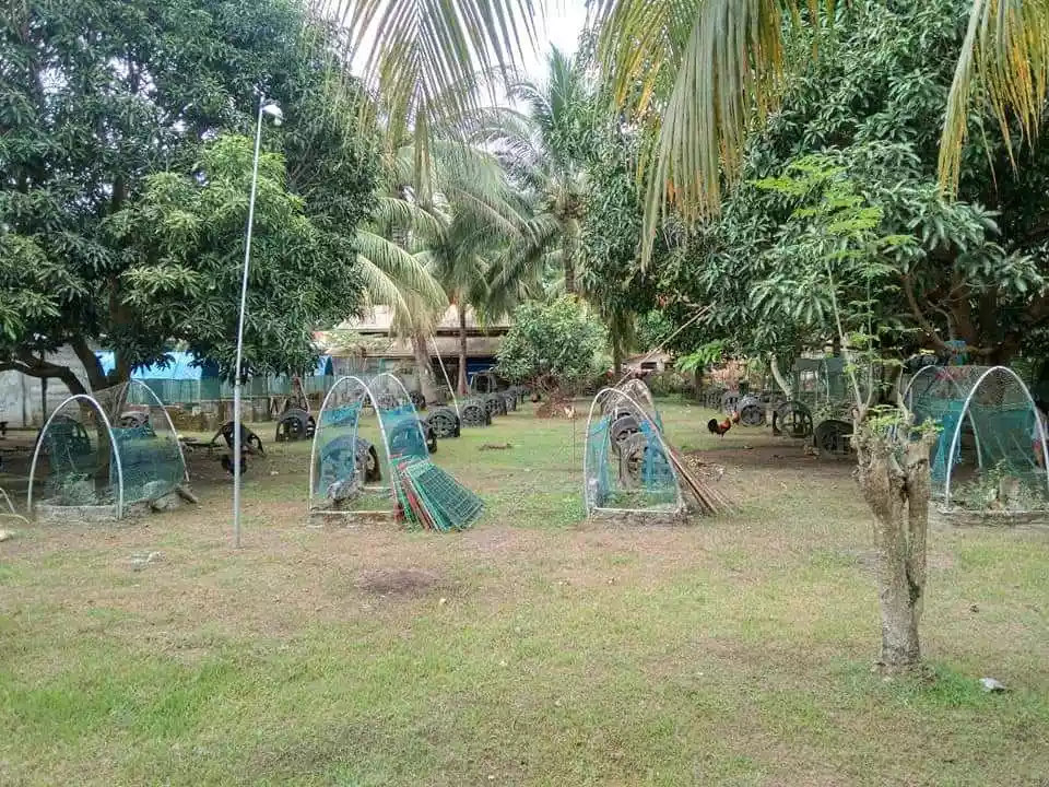LOT FOR SALE — Residential Lot in Amlan, Negros Oriental, Philippines — Photo 6
