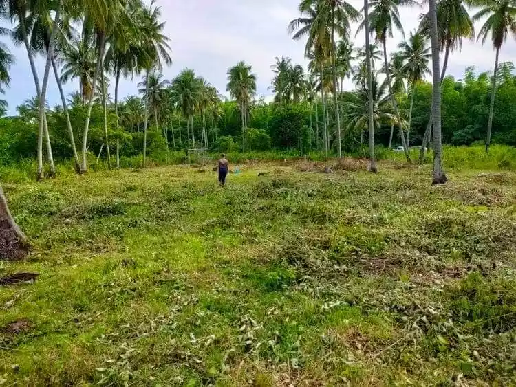 Residential in maayong tubig - photo 7
