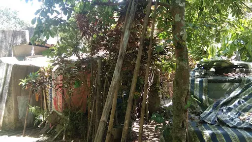 Titled — Agricultural Lot in Minglanilla, Cebu, Philippines — Photo 7