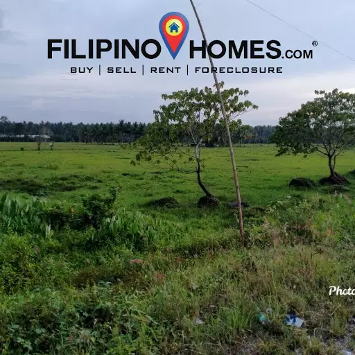 Agricultural lot — Agricultural Lot in Butuan City, Agusan Del Norte, Philippines — Photo 3