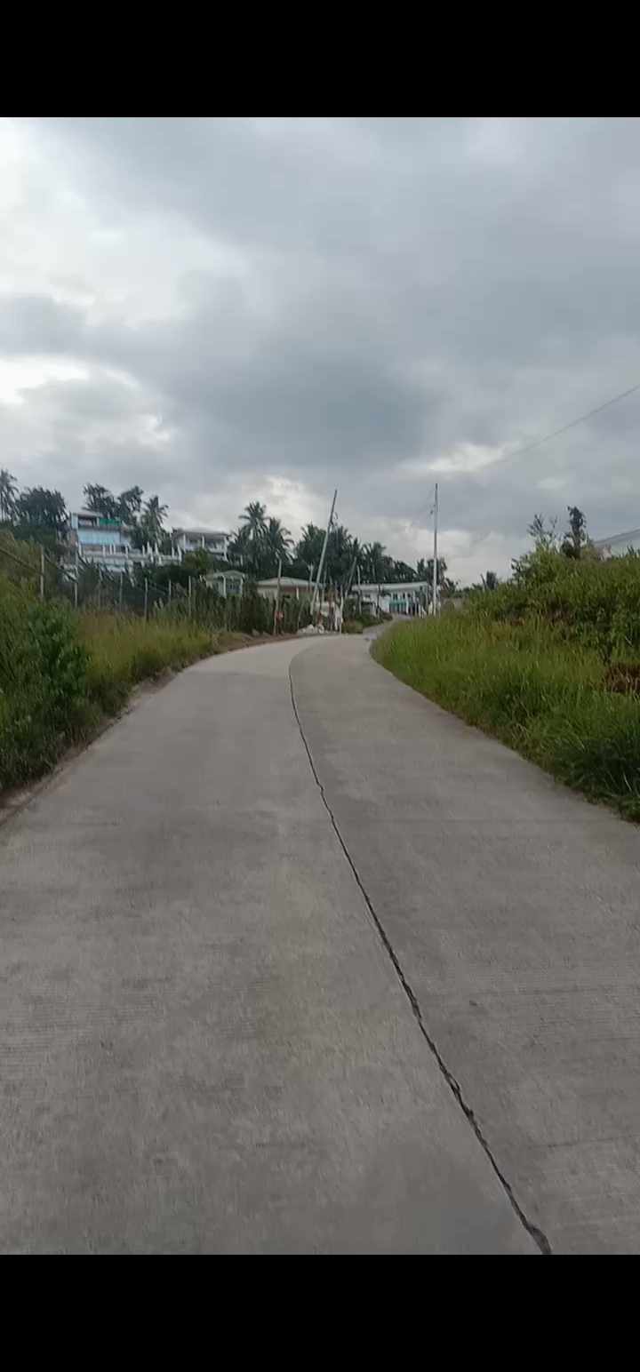 Cambanog Residential Lot — Residential Lot in Cambanog, Sandalo Street, Dalaguete — Photo 4