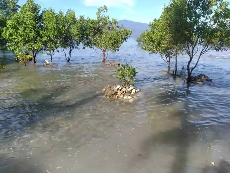 Beachlot in Mati, Davao - photo 7