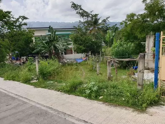 Individual 200qm lots in HV Subdivision Badian for Sale — Residential Lot in Badian, Cebu, Philippines — Photo 3