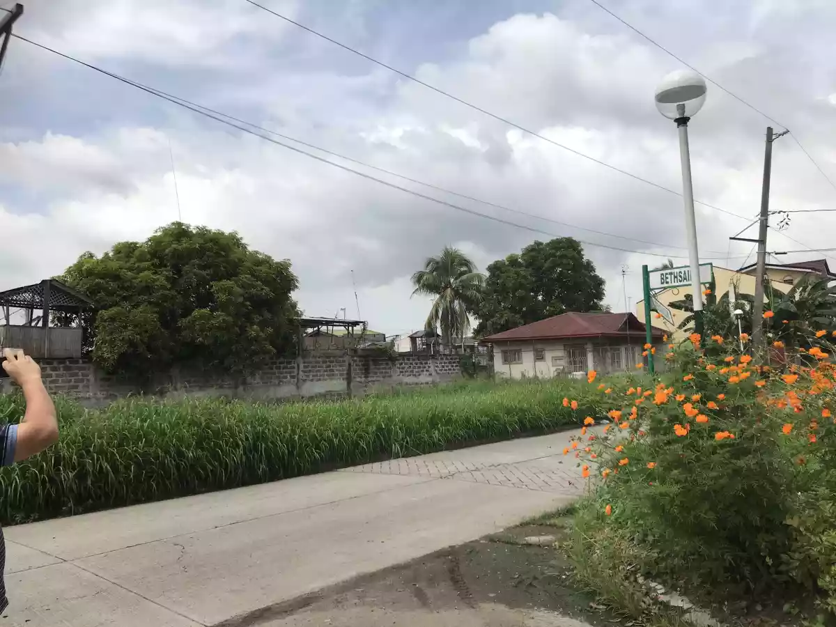 Residential lot at Town and Country DasmariÃ±as Cavite - photo 3