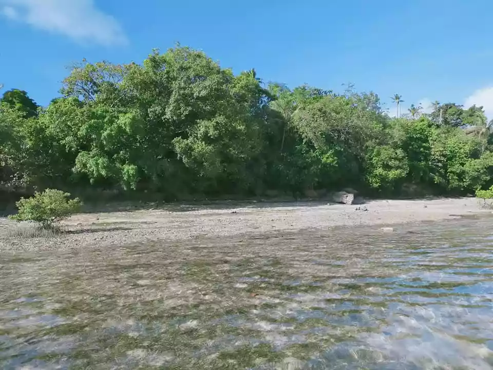 Beachfront 1,223sqm title lot for sale in Sandingan Island Loon Bohol 3k per sqm - photo 2