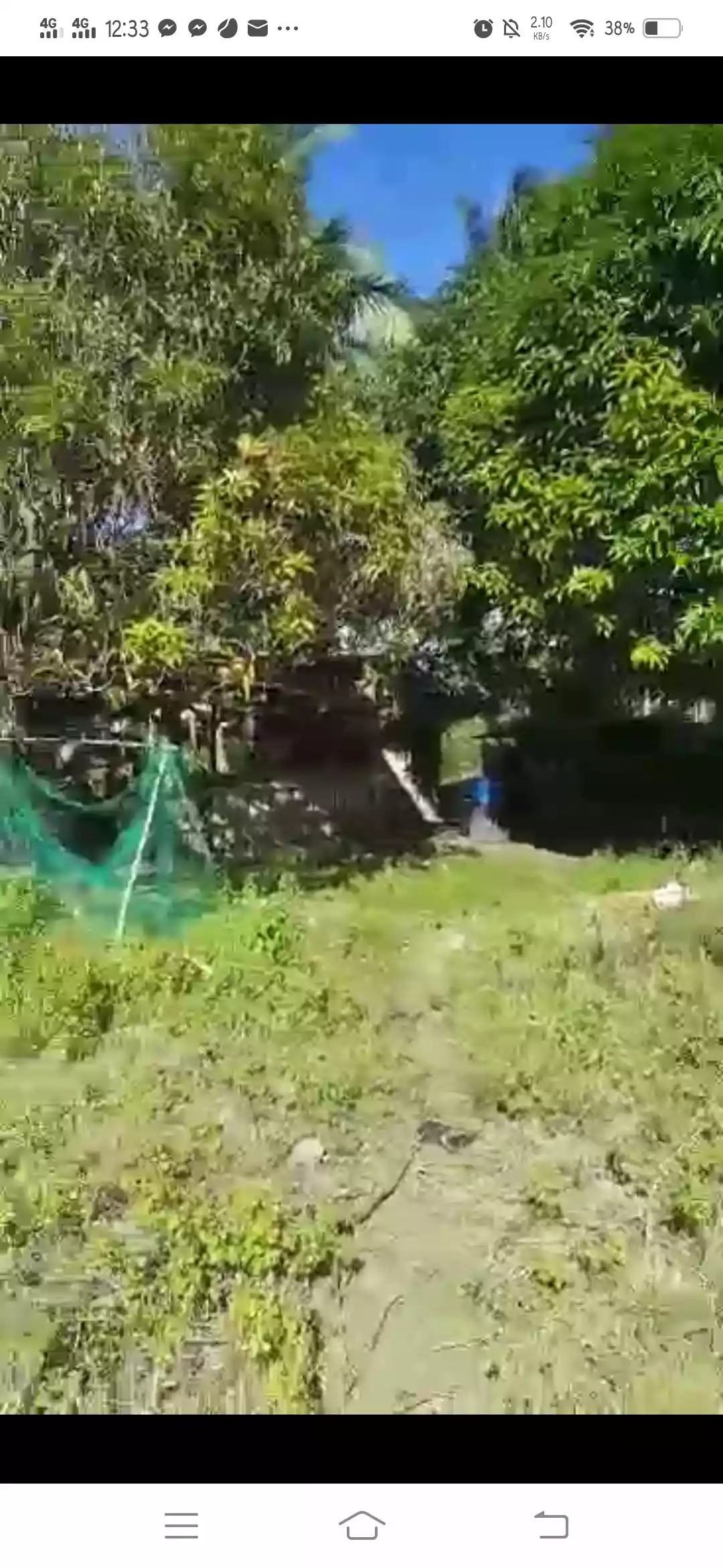 FARM LOT FOR SALE IN DALAGUETE, CEBU — Agricultural Lot in Dalaguete, Cebu, Philippines — Photo 2