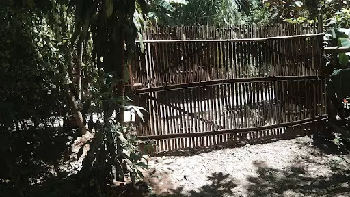 Titled — Agricultural Lot in Minglanilla, Cebu, Philippines — Photo 4