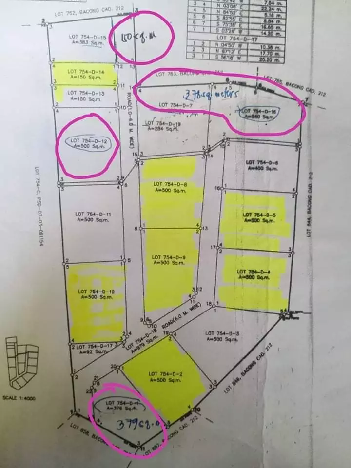 Sulodpan Bacong Subdivided lots - photo 6