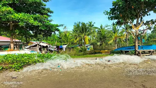 TCT — Beach Lot in Carcar City, Cebu, Philippines — Photo 6