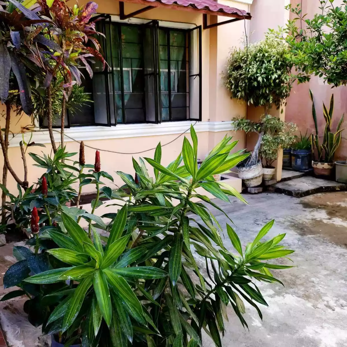 House and Lot in Minglanilla City Cebu  - photo 2