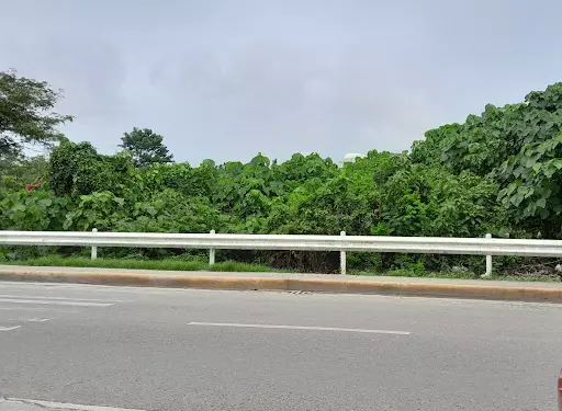 Commercial Lot for sale in Cordova — Commercial Lot in 8WHH+6V6, Lopez Jaena St, Tipolo — Photo 2