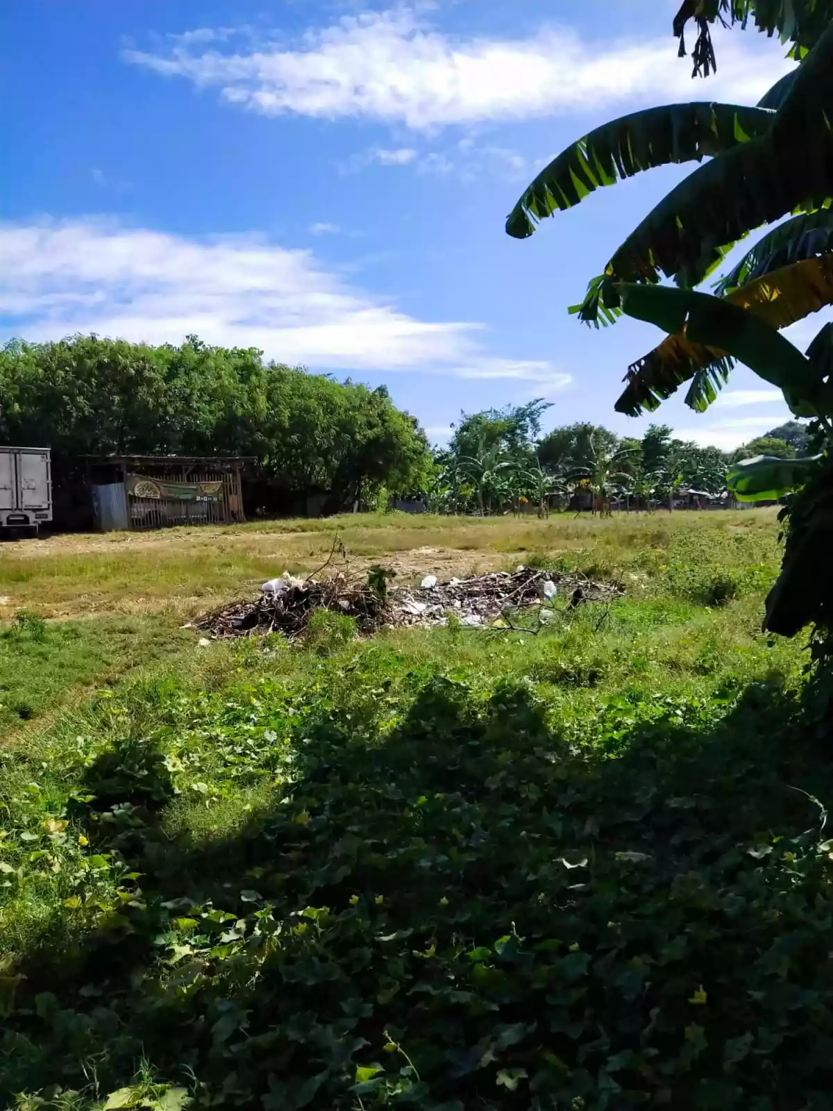 Affordable lot for sale - photo 2