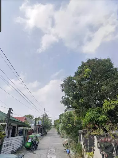Rush for Sale Lot only at Villa Estefania Fortune Town Bacolod City — Residential Lot in Cebu City, 6000 Cebu, Philippines — Photo 7