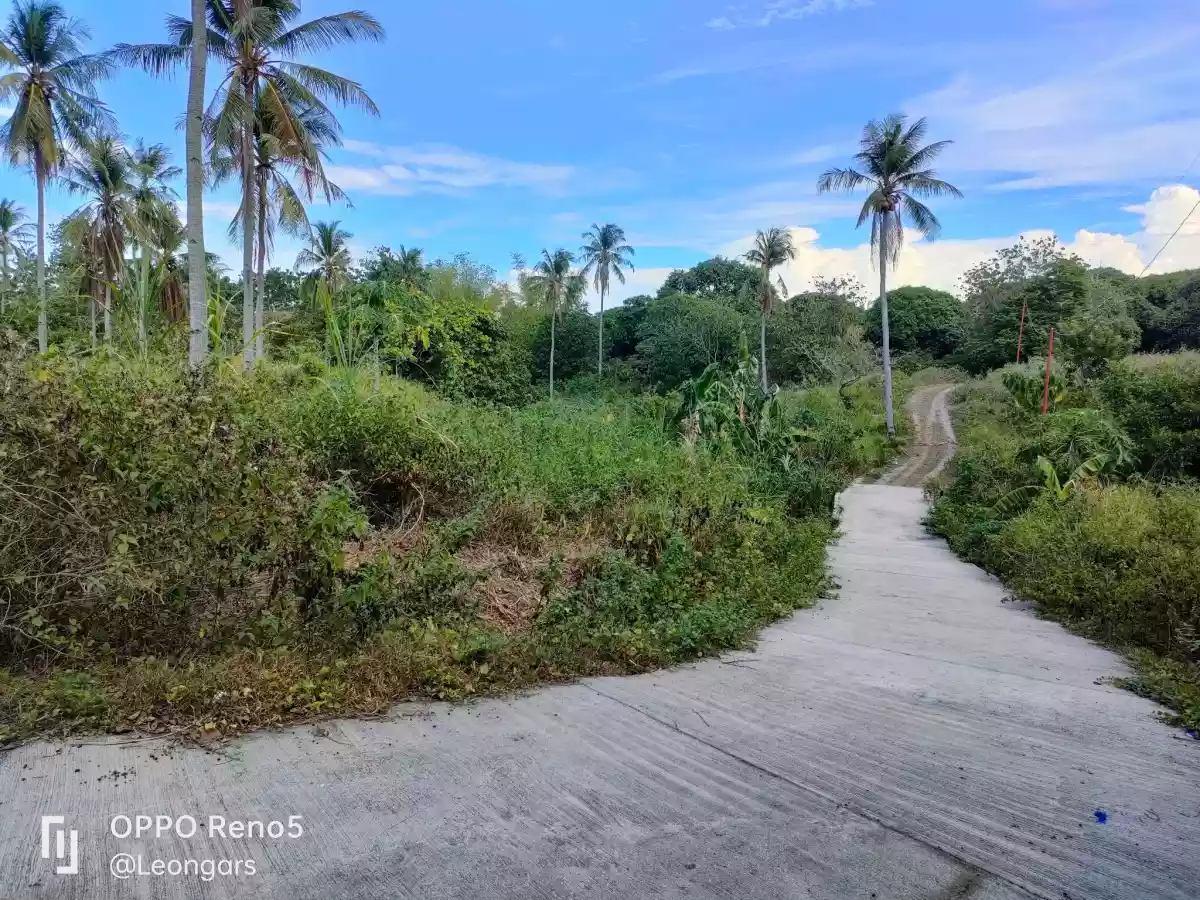 LOT for RUSH Sale in Masaplod Sur, Dauin — Agricultural Lot in Negros Oriental, Philippines — Photo 3