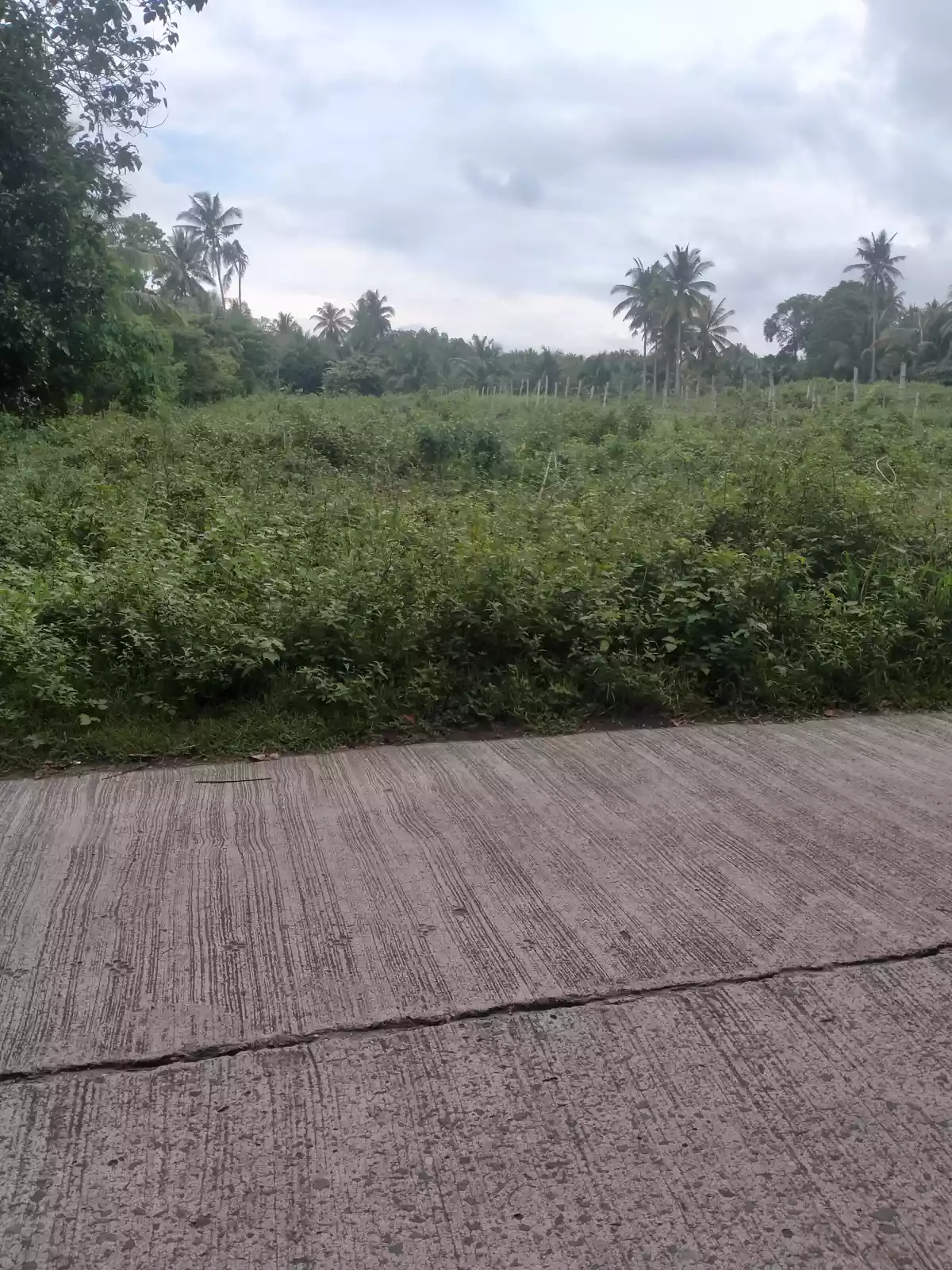 LOT FOR SALE IN BACONG, NEGROS ORIENTAL - photo 3
