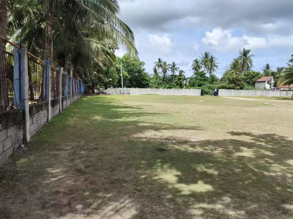 Beach lot - photo 4