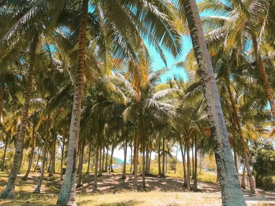 Titled Beach Lot - photo 6