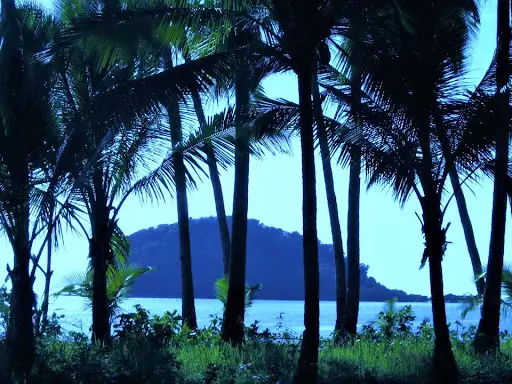 Island for sale 1.5 Hectares Balabugan Isaland in Palawan — Island in Philippines — Photo 6