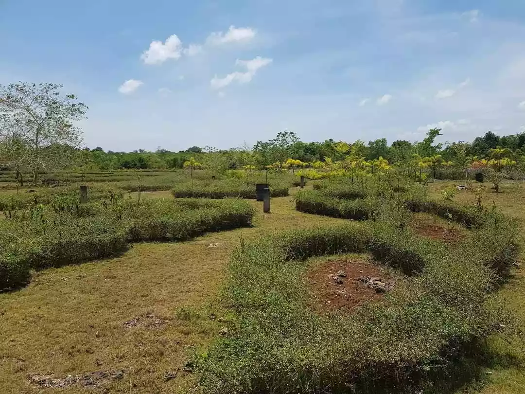 Lot For Sale  - photo 3