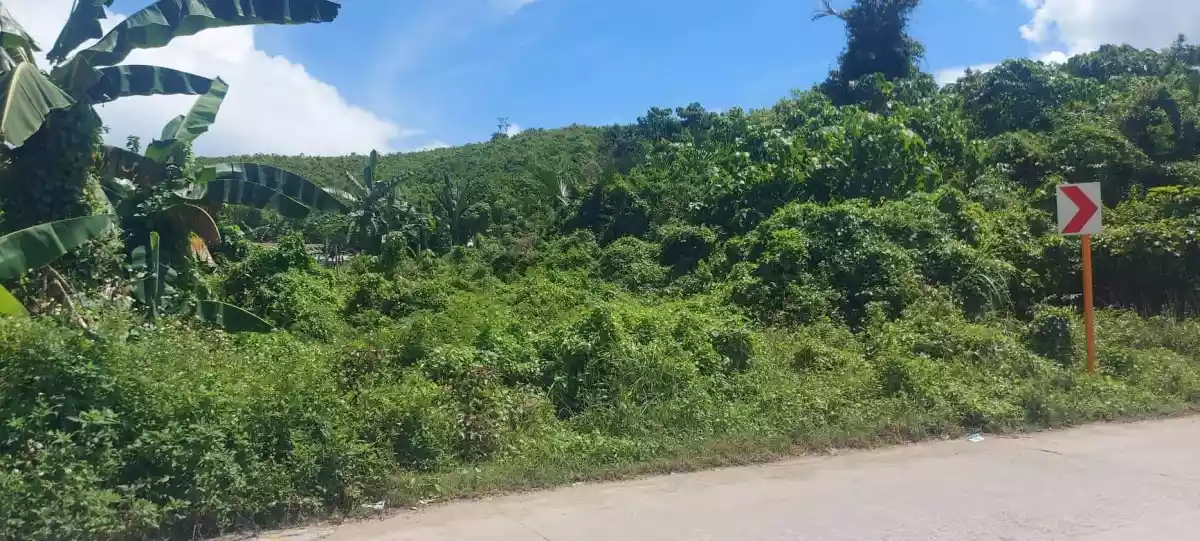 Lot for Sale - Titled - photo 4