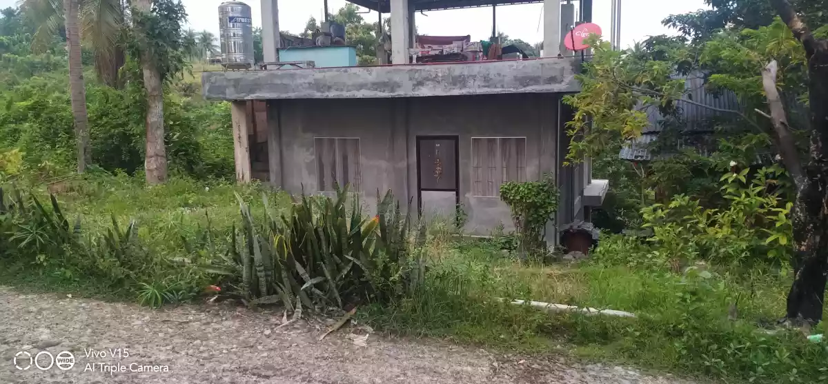 1,048 SQ.M LOT AND 3 STOREY UNFINISHED HOUSE & LOT FOR SALE IN NORTH POBLACION, SAN FERNANDO, CEBU - photo 6