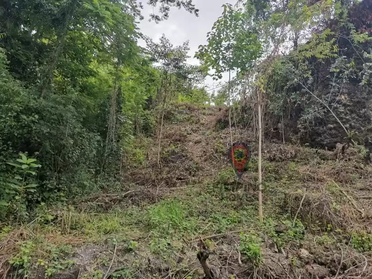 Beach Lot For Sale — Beach Lot in Glan, Sarangani, Philippines — Photo 2